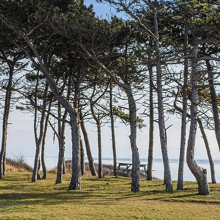 Pet Friendly In With House Sea View Casa vacanze Knebel