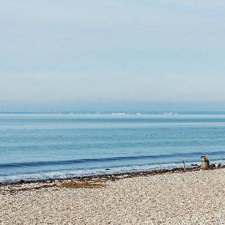 Pet Friendly In With House Sea View Knebel